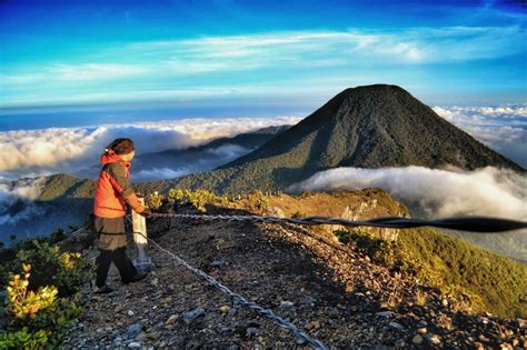 Pemandangan Gunung Pangrango Jawa Barat